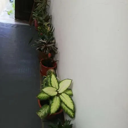 Homestay Beatu's Art Sweet *
