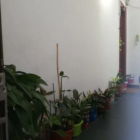 Beatu's Art Sweet Homestay *